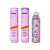 iconic volume wash + style set big hit volumizing shampoo + conditioner + rising star volumizing spray